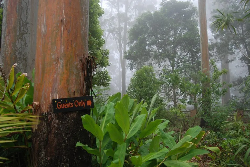 Lodge Witches Falls Cottages Mount Tamborine